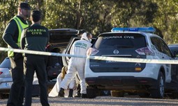 La demanda social de una mayor protección contra los delincuentes sexuales pasa por la reforma del modelo policial