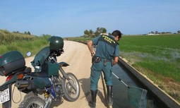 En el Seprona, lo resolutivo debe convivir con lo 'tóxico'