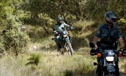 Comunicado Secretaria Especialidades: COMISIÓN SEPRONA