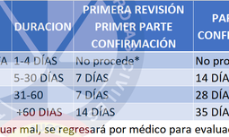 Resumen Grupo de Trabajo 'Incapacidad Temporal'