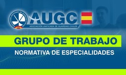 Resumen del grupo de trabajo sobre especialidades