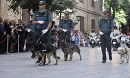 Balance del reciente encuentro de la Comisión Permanente de Destinos