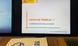 Resumen del Grupo de Trabajo sobre la "Normativa de Evaluaciones" para el ascenso