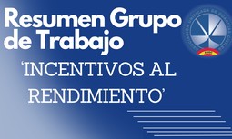 Resumen Grupo de Trabajo del proyecto de Orden General de incentivos al rendimiento del personal de la Guardia Civil