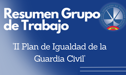 Resumen Grupo de Trabajo II Plan de Igualdad de la Guardia Civil
