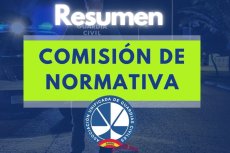Comunicado en unidad de acción de la comisión de normativa