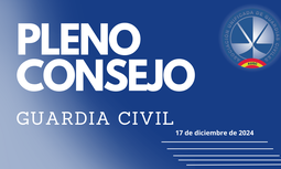 Celebrado el último Pleno del Consejo de la Guardia Civil del año 2024