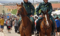 Informes de seguimiento a las órdenes generales de Jornada Laboral y Productividad, y de 'diagnóstico de la situación de la mujer en la Guardia Civil'