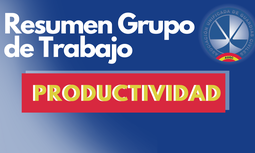 Resumen Grupo de Trabajo de Productividad del 23 de octubre de 2024