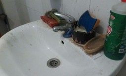 AUGC denuncia las pésimas condiciones de salubridad bajo las que trabajan los guardias civiles que vigilan un edificio de Interior que fue 'okupado' en Badajoz