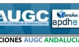 CONVOCATORIA ELECCIONES JUNTA FEDERAL ANDALUZA