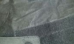 AUGC Alicante denuncia la falta de apoyo a la Guardia Civil y Policía Local en el festival de Auapalumbreira