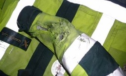 COMUNICADO JDN REUNIÓN GRUPO DE TRABAJO  PREVENCIÓN DE RIESGOS LABORALES