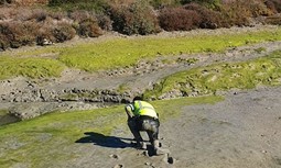 Cuando los servidores de la ley se bajan al barro