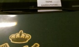 AUGC Alicante vuelve a denunciar la presencia de garrapatas en vehículos de la Guardia Civil