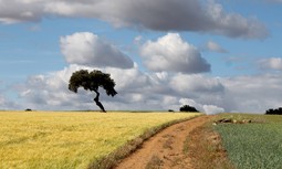 Algunos responsables de la Guardia Civil en Badajoz no distinguen un campo de tiro de una cañada real
