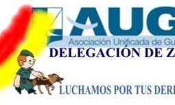 REMISIÓN DE INSTANCIAS