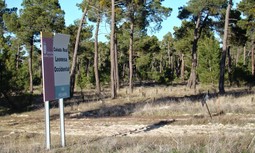 AUGC  Badajoz denuncia el uso de campos de tiro eventuales