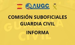 Reunión del Grupo de Trabajo sobre las funciones de Suboficial Mayor y Cabo Mayor