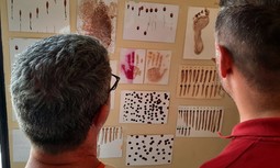 AUGC forma a guardias civiles en Córdoba sobre análisis de manchas de sangre en la escena del crimen