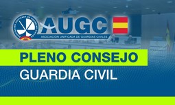 Celebrado Pleno del Consejo de la Guardia Civil con la tramitación de normas de gran importancia para los guardias civiles