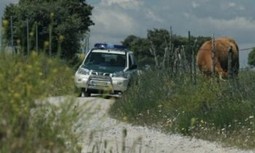 Seis expedientes  un mes a dos guardias civiles de SEPRONA de Vitiguidino.