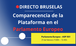 La Plataforma de guardias civiles y policías asiste al evento "Fuerzas y cuerpos de seguridad en el siglo XXI” celebrado en el Parlamento Europeo