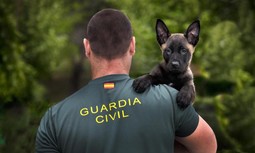 AUGC consigue que los especialistas cinológicos puedan obtener la titulación de guía único