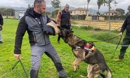 AUGC y SUP organizan en Córdoba un curso de guía canino para guardias civiles