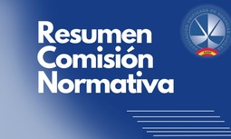 Resumen Comisión de Normativa