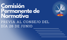 Resumen comisión normativa