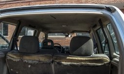 Así están los vehículos en Alicante: hasta una plaga de garrapatas