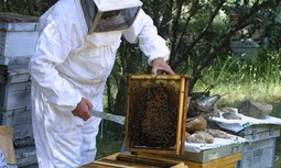 AUGC vuelve a ganar en los Tribunales aquello que la Guardia Civil le niega por sistema a sus trabajadores.