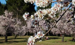 Disfruta en febrero de las ofertas de productos y servicios para afiliados de AUGC