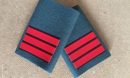 Resumen del Grupo de Trabajo sobre el empleo de Cabo, celebrado el 27 de enero de 2021