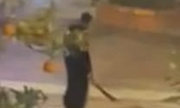 AUGC reclama a Marlaska la inmediata declaración de la Zona de Especial Singularidad en Cádiz y el aumento de agentes en Algeciras