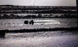 Operación Antidroga en Cádiz: AUGC reclama catalogar a las FCSE trabajadores de riesgo y la implantación de la Zona Especial Singularidad