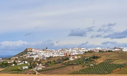 Montilla es el cuarto municipio andaluz donde más crece la criminalidad convencional