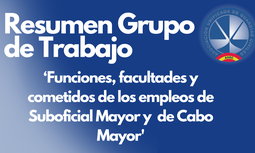 Resumen del primer Grupo de Trabajo para actualizar 'las funciones, facultades y cometidos de los empleos de Suboficial Mayor y  de Cabo Mayor'