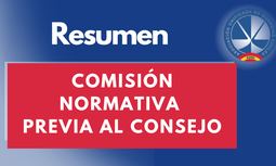 Análisis de la Comisión de Normativa previa al Pleno del Consejo de Guardia Civil