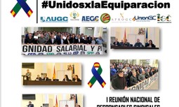 Encuentro nacional de organizaciones representativas en las Fuerzas y Cuerpos de Seguridad por la equiparación salarial