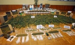 AUGC  EXIGE SE TOMEN MEDIDAS CONTRA EL ANTERIOR COMANDANTE DE PUESTO DE SAN PABLO DE LOS MONTES ANTE SU PASIVIDAD TRAS LA DENUNCIA DE UN IMPORTANTE DELITO RELACIONADO CON EL NARCOTRAFICO