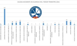 Más del 40% de los accidentes que sufren los guardias civiles son consecuencia de agresiones físicas