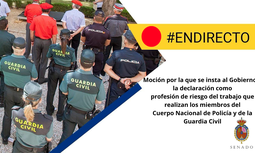 El PP presenta una moción en el Senado para su debate en el Pleno de hoy que insta al Gobierno a proceder declaración como Profesión de Riesgo