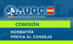 Resumen Comisión de Normativa