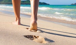 Consulta ya el catálogo de junio de ofertas para afiliados de AUGC