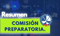 RESUMEN COMISIÓN PREPARATORIA NOVIEMBRE 2025.