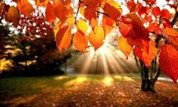 Afronta el otoño lleno de proyectos gracias a las ofertas para afiliados a AUGC