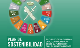 Nuevos recortes para los guardias civiles: El director de la Guardia Civil elimina el Derecho al teletrabajo