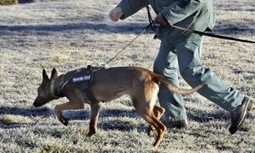 La descoordinación policial retrasó el hallazgo del cuerpo de la peregrina estadounidense